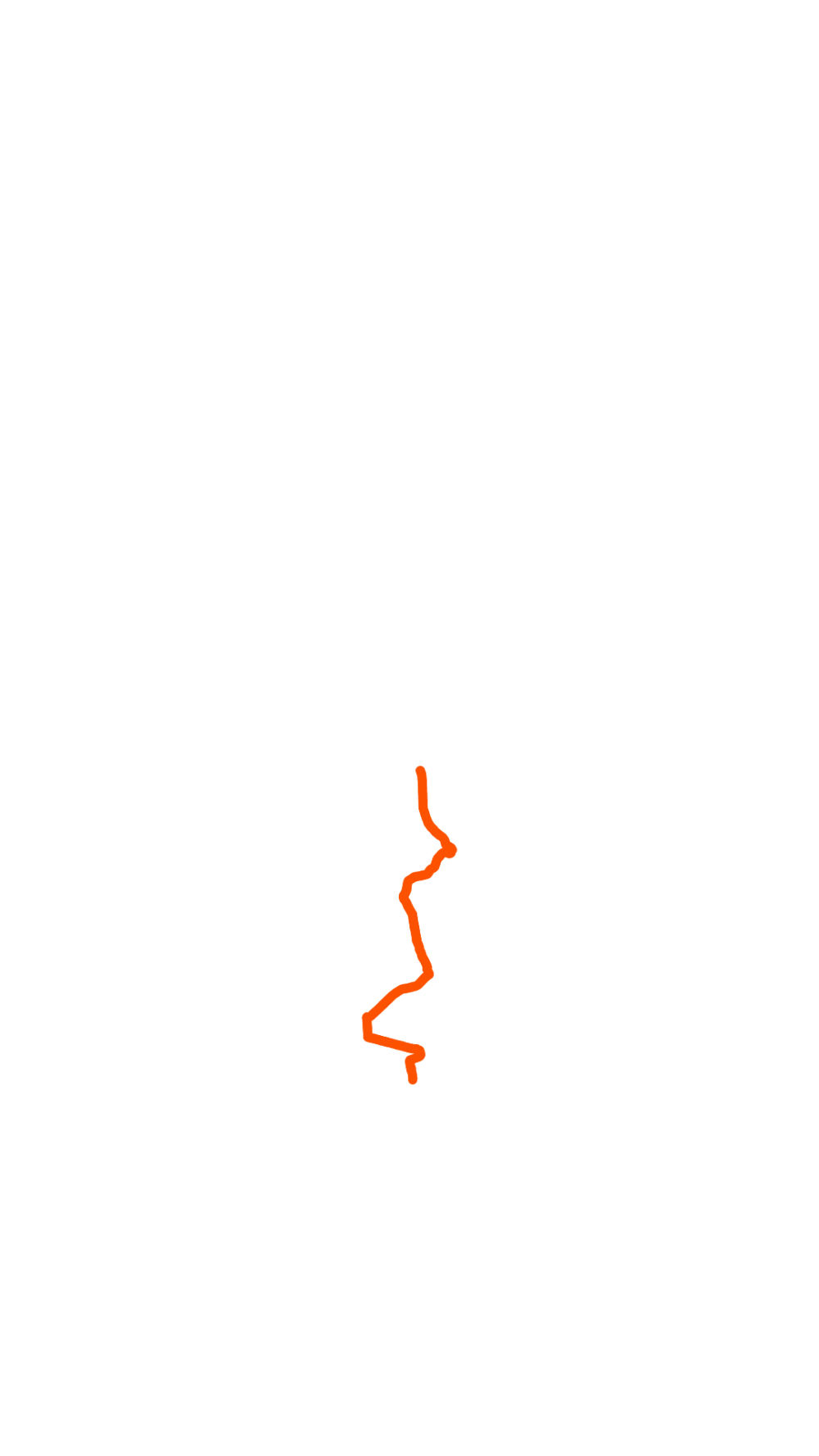 Show Us Your Run!
