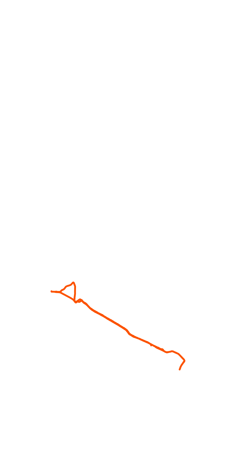 Show Us Your Run!