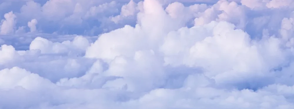 jericozyrelcarrascal